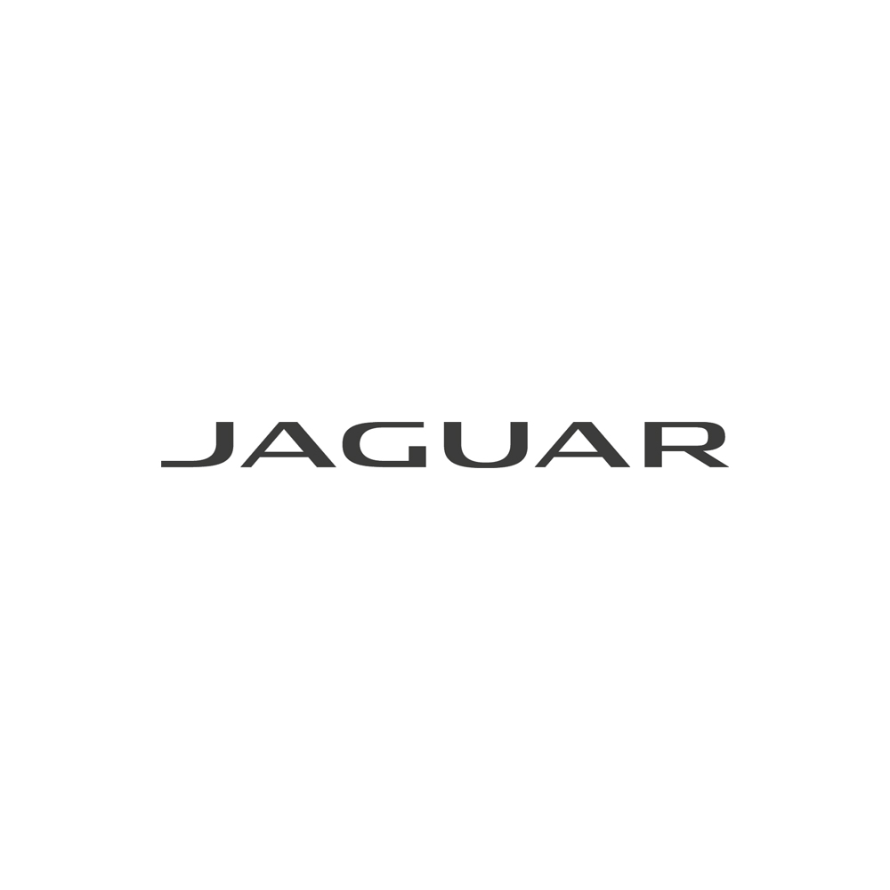 jaguar suitcase vintage